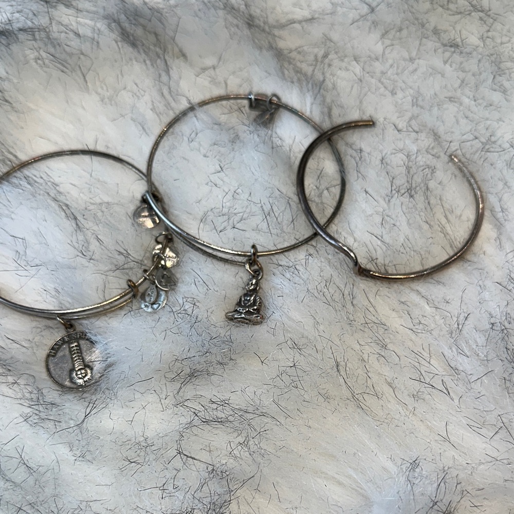 Alex & Ani Silver Charm Bangle Set